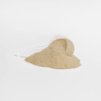 Plant Protein (Vanilla)